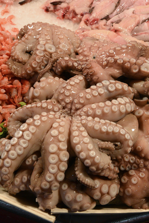 octopusmarket