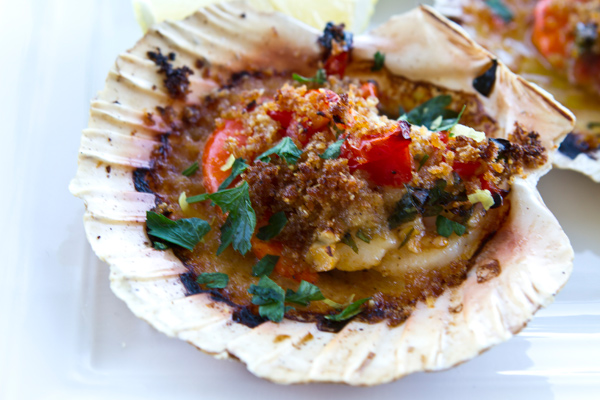 Scallops With Tomatoes & Breadcrumbs